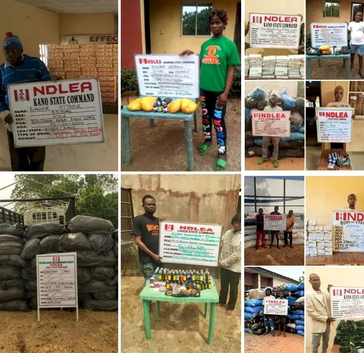 Insurgents drug supplier arrested as NDLEA intercepts 7.6 tons of illicit drugs in Borno, Nasarawa.
