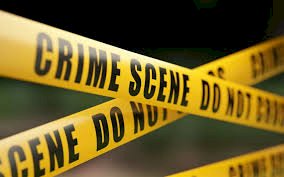 Unknown assailants k!ll Anambra native doctor’s three children (video)