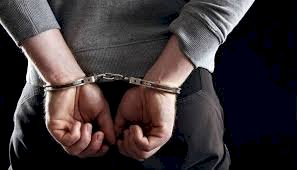 Police arrest Dele Farotimi over Afe Babalola’s alleged defamation petition