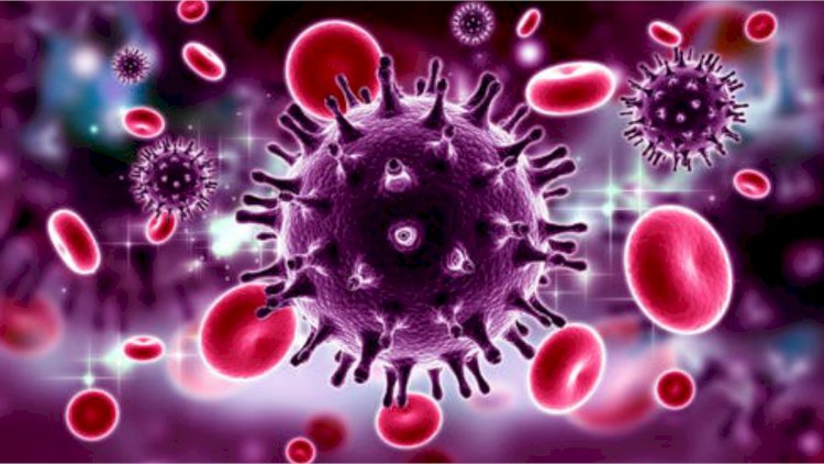 JUST-IN:New COVID-19 Variant XEC in 29 Countries---FG creates awareness.
